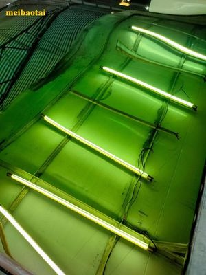 Bom preço Folha de cor espelho verde Pvd revestimento decoração chapa de aço inoxidável on-line